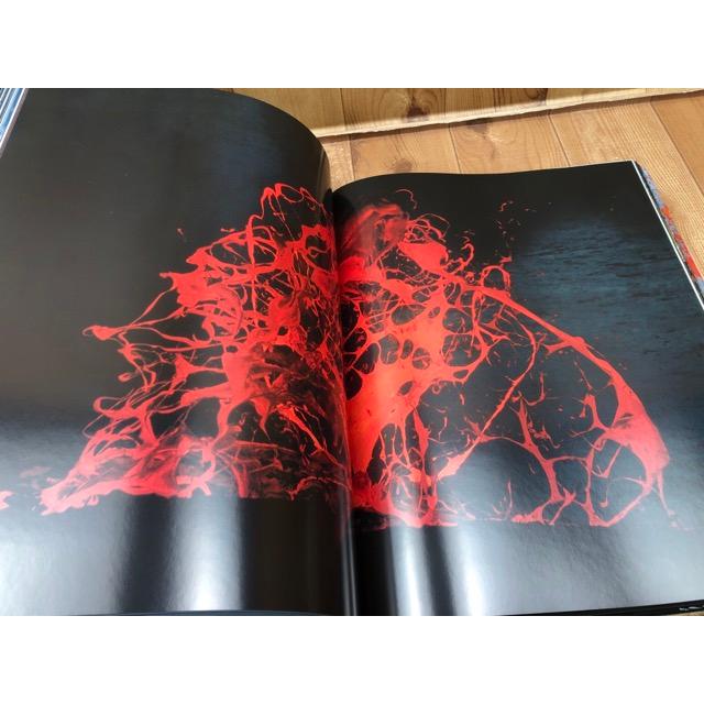 洋書 大型本/火山 Volcanoes／Harry N. Abrams／【送料350円】 : 太田