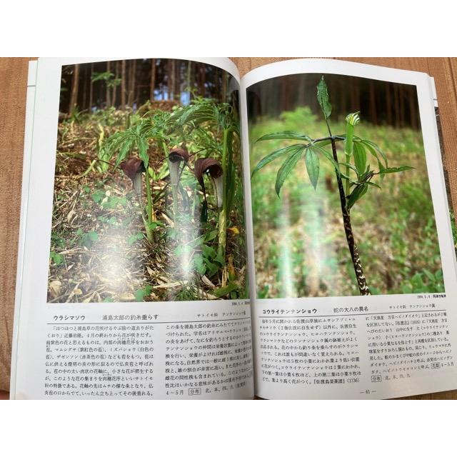 佐渡の花 春夏秋+佐渡植物歳時記【佐渡の植物 第6集】／佐渡の植物刊行 