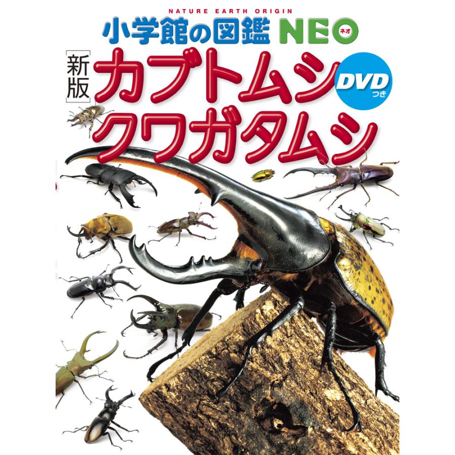 小学館の図鑑 NEO ［新版］カブトムシ・クワガタムシ : 三省堂書店
