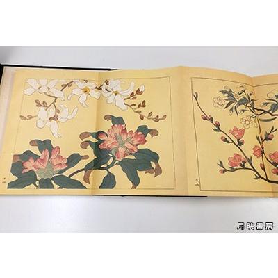 四季の花 復刻版 全10冊+解説 (昭和55年) 酒井抱一 : 月映 四季の花 復刻版 全10冊+解説 (昭和55年) 酒井抱一 : 月映