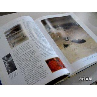 TANGUY（イヴ ・ タンギーとシュル レアリスム） : 月映書房 - 通販