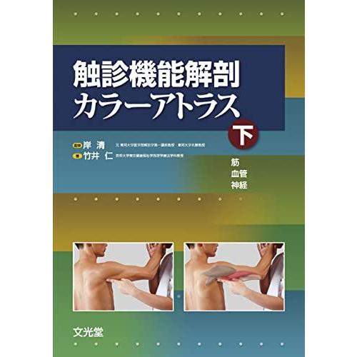 触診機能解剖カラーアトラス 下 筋・血管・神経 : ブックスドリーム 学