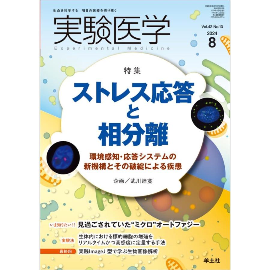 実験医学 2024年8月 Vol.42 No.13 ストレス応答と相分離-環境感知・応答システムの新機構とその破綻による疾患