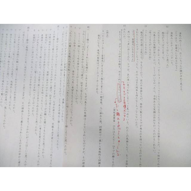 SAPIX　6年　正月特訓　テキスト SAPIX 小6 サピックス 正月特訓 国語 難関中対策プリント 【計4回分