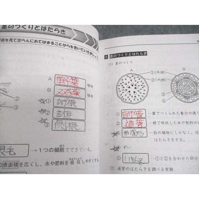 浜学園 小5 理科 サイエンス 第1〜3分冊 通年セット 2018 計3冊