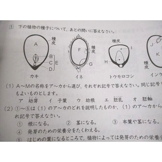Gnoble グノーブル 小6 理科 グノベーシック/土曜/志望校/入試対策特訓
