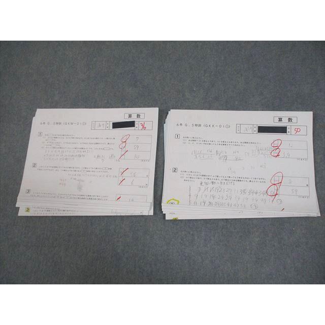 SAPIX サピックス 小6 算数 G.S特訓 GKK/GKW テスト計12回 2023 011s2D