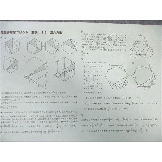 SAPIX サピックス 分野別補充プリント 算数 【計46回分】 2024 017S2D