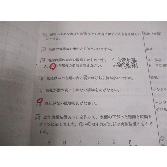浜学園　小6　女子最難関理科暗記テキスト 問題編・解答編　未使用原本6年生 ジャスミン様専用 浜学園 小6理科 女子最難関+社会 教材セット - メルカリ