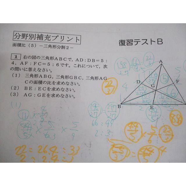 SAPIX サピックス 小6 算数 分野別補充プリント/復習テストA/B テスト