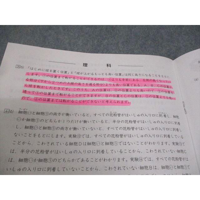 日能研 小5 全国テスト/思考力育成テスト/学ぶチカラテスト 2024年実施 国語/算数/総合 テスト計7回 026M2D 日能研 小5 全国公開模試 思考力/学習力育成テスト 等 国語/算数/理科
