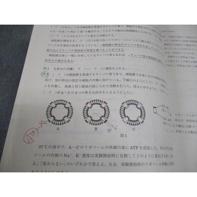 駿台 生物S Part1/2 テキスト通年セット 状態良品多数 2024 計4冊 045M0D 駿台 生物S Part1/2 テキスト通年セット 2024 計4冊 042M0D : ブックス