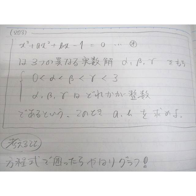 SEG(科学的教育グループ) 東京大学 受験数学文系Mクラス 東大解析/図形