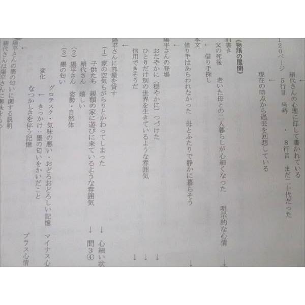 駿台 国語 精選現代文読解研究 テキスト通年セット 2024 計2冊 松本