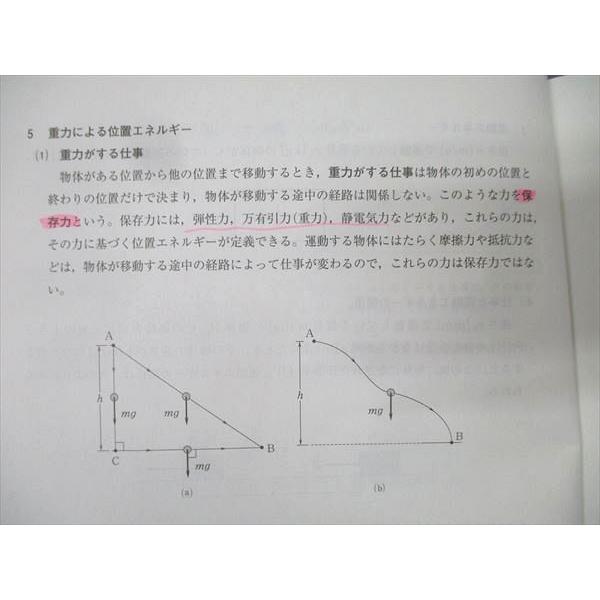 河合塾 東京大学 ハイパー/東大物理/物理 解説編 テキスト通年セット