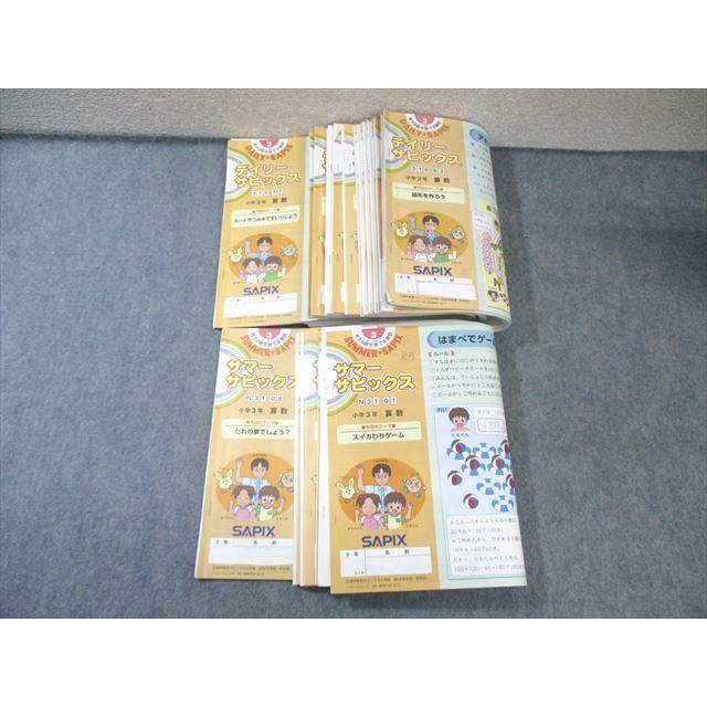SAPIX 小学3年 算数 デイリーサピックス サマー ウィンター セット SAPIX 小3 算数 デイリー(310-03〜17)/サマー(N31ー01〜08) 通年セット