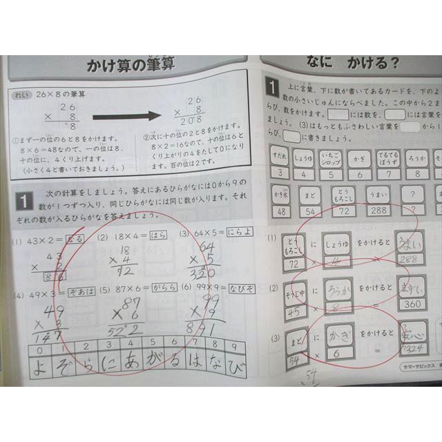SAPIX 小3 算数 デイリー(310-03〜17)/サマー(N31ー01〜08) 通年セット