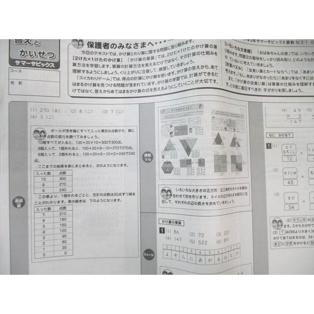 SAPIX 小3 算数 デイリー(310-03〜17)/サマー(N31ー01〜08) 通年セット