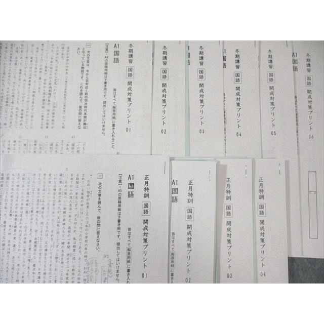 開成対策　サピックス　6年 2025年受験　日特/冬期/正月他　中古 SAPIX 小6 サピックス 冬期講習/正月特訓 開成対策プリント 国語 【計