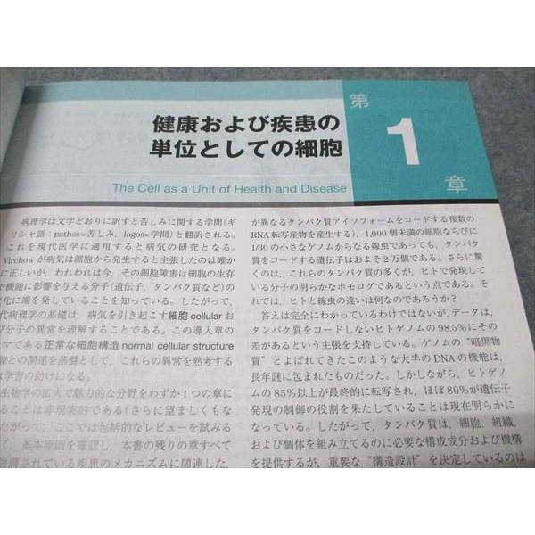 エルゼビアジャパン ロビンス 基礎病理学 原書10版 2021 Kumar/Abbas