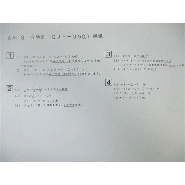 SAPIX サピックス GS特訓 基礎力/昼テスト/GJF/GFG 算数 【計21回分