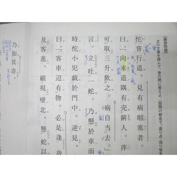 河合塾 高3 高校グリーンコース 早稲田大学 早大漢文 国語テキスト通年