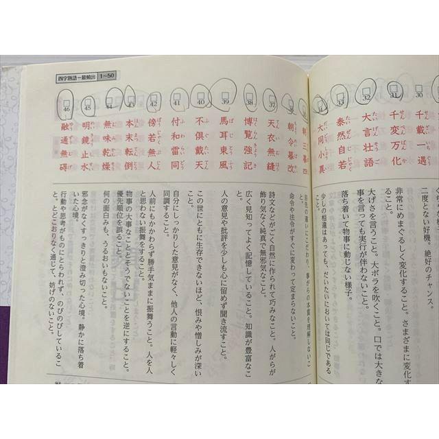 城南ライブラリー 現代文常識ハンドブック 漢字・語彙から文学史まで