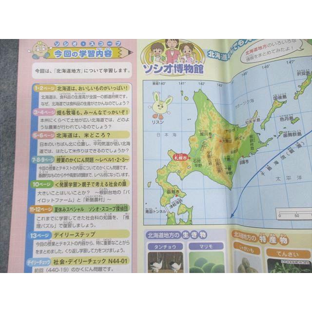 SAPIX 小4 サピックス デイリー/サマー 社会 通年セット 【計44回分