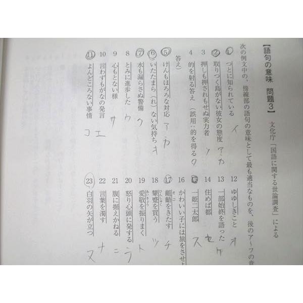 駿台 国語 センター現代文パーフェクトレクチャー テキスト 中野芳樹