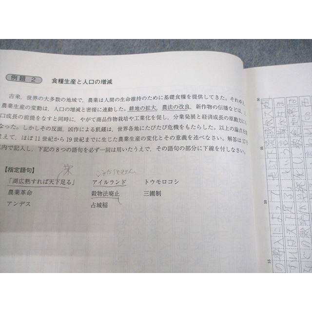 駿台 東京大学/一橋大学 世界史特講I(東大・一橋大論述で学ぶ社会経済