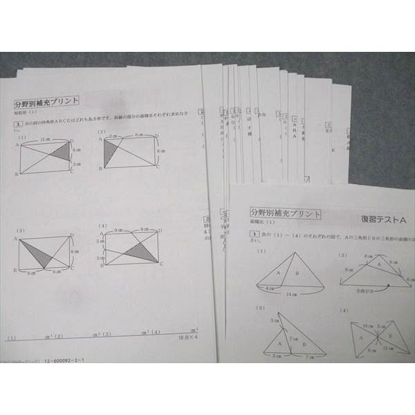 希少貴重品❣️ フォトン算数　サブテキスト セット　解答解説付き SAPIX サピックス 小学6年 算数 分野別補充プリント/復習テストA