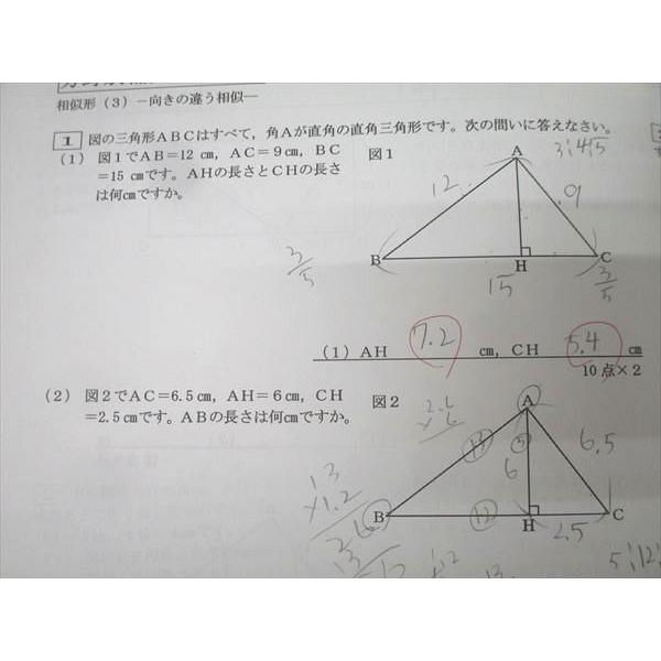 SAPIX サピックス 小学6年 算数 分野別補充プリント/復習テストA