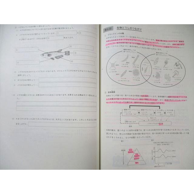 日能研 小5 発展 夏期/冬期講習 国語/算数/理科/社会 2025 計2冊