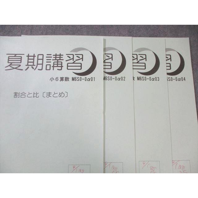 SAPIX 中学部 小6 サピックス メイン/アシスト/夏期講習 算数 【計33