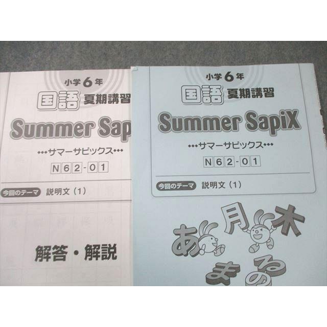 SAPIX 小6 サピックス デイリーA/B/サマー 国語 【計74回分】 通年