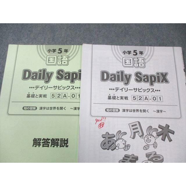 サピックス 小学5年 SAPIX 小5 サピックス デイリーA/B/サマー 国語 【計84回分】 通年