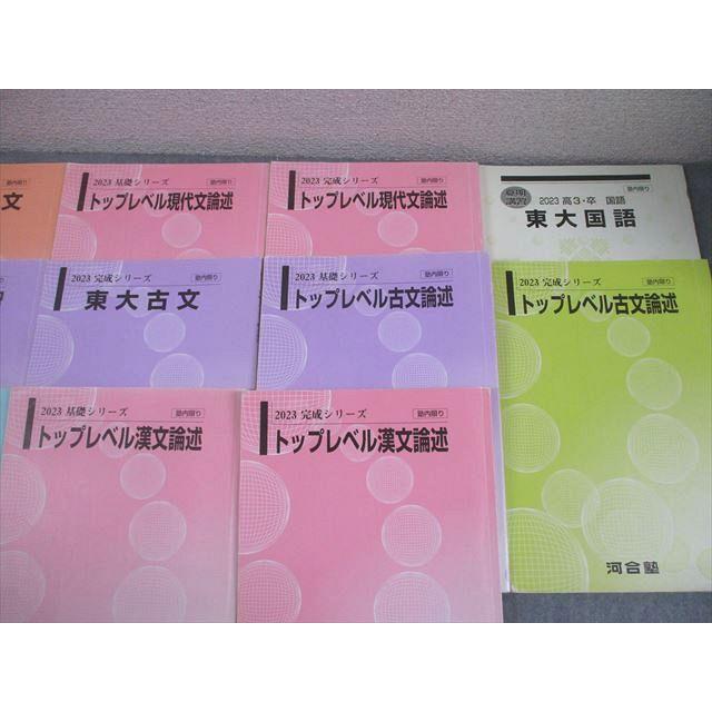 河合塾 東京大学 トップレベル東大コース 国語 現代文(共通テスト実戦