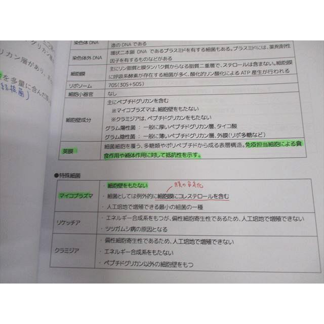 薬学ゼミナール 第111回薬剤師国家試験対策 夏期演習講座 2025年合格