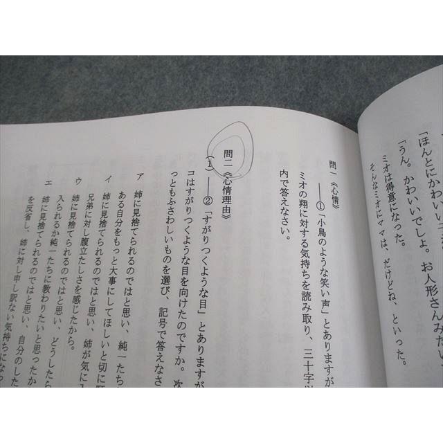 日能研 小6 国語 中学受験用 ステージV 得点力アップ講座 選択