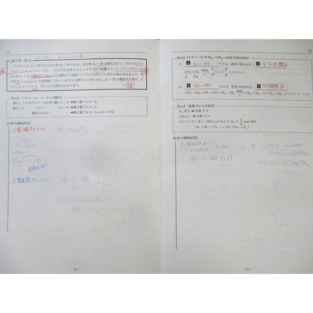 鉄緑会 化学V4クラス 有機 分野別講習(第1−5日目) 【計5回分】 2024
