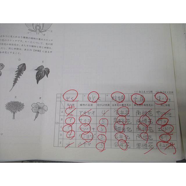 ㉔な　土曜特訓　社会 理科　Weekly Sapix 志望校別特訓　開成コース SAPIX 小学6年 志望校別特訓 理科 ウィークリーサピックス WS-02〜36