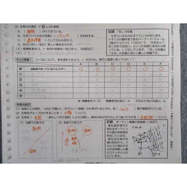 Sq01 061 小松川高校 生物 日本史 世界史 プリント ノートセット 22年3月卒業 M9d Sq01 061 ブックスドリーム 学参ストア2号店 通販 Yahoo ショッピング