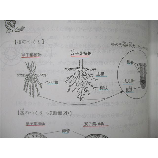 TB04-079 浜学園 6年生 男女難関コース/暗記テキスト 理科 2020/2021