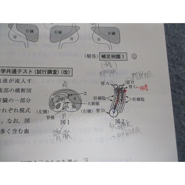 TI96-026 東進 大学入学共通テスト対策 生物基礎 sale 10s0D