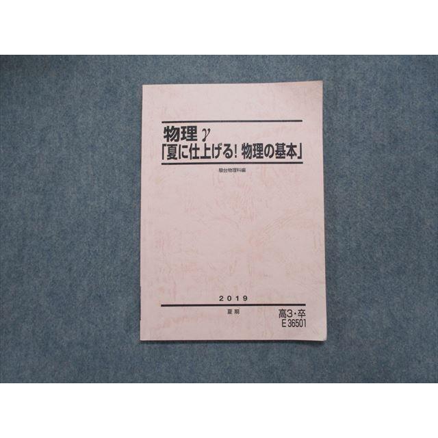 TN14-038 駿台 物理γ 夏に仕上げる 物理の基本 テキスト 2019 夏期