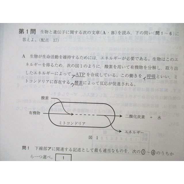 UC25-129 Z会 2020年用センター試験 実戦模試 生物基礎 07s1A