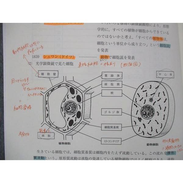 ナガセ 大学教養基礎講座 生物総合/生物1 テキスト DVD1巻付 020m0D 