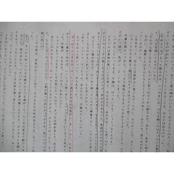 UG13-279 浜学園 小6 国語補講 入試直前特訓 PART2 Mその他コース