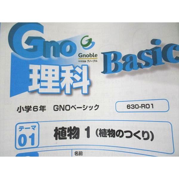 UM06-047 Gnoble/グノーブル 小4~6年 難関中学Wコース GNOラーニング他