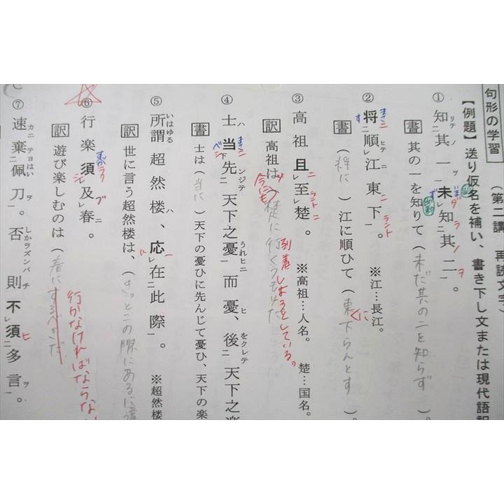 河合塾 漢文総合 テキスト 2022 基礎シリーズ 畑純生 sale